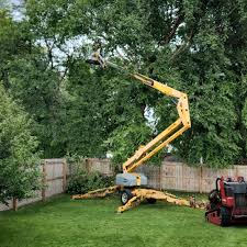 Best Tree Maintenance Programs  in Missouri Valley, IA